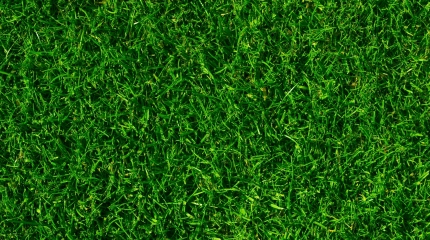 Adobe Stock 16191670