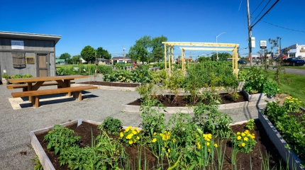 2026 08 05 Jardin des rdv