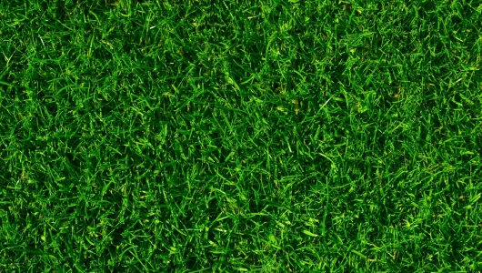 Adobe Stock 16191670