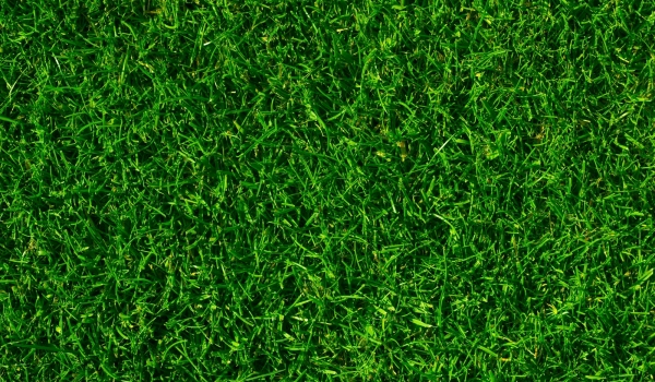 Adobe Stock 16191670