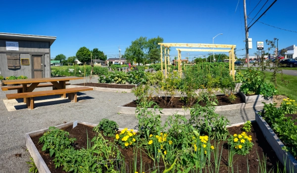 2026 08 05 Jardin des rdv