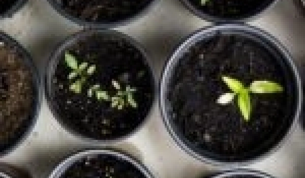 20260124 Culture poragère