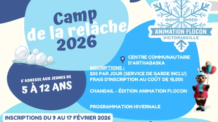 Publications Animation Flocon 2025