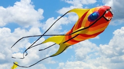 Le monde des cerfs volants