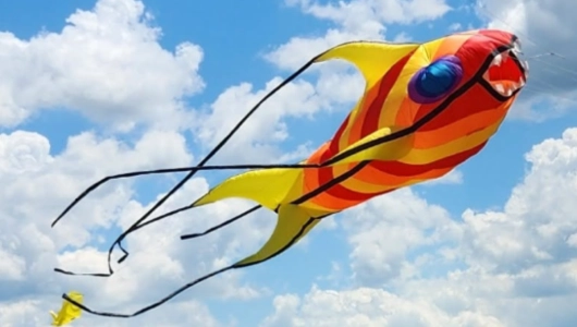 Le monde des cerfs volants