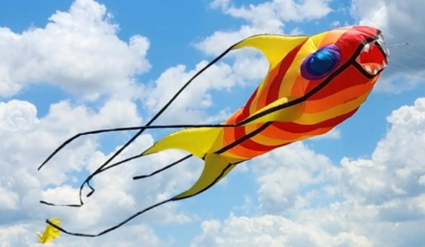 Le monde des cerfs volants