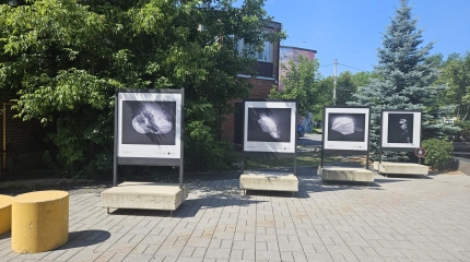 Exposition Catherine Magnan