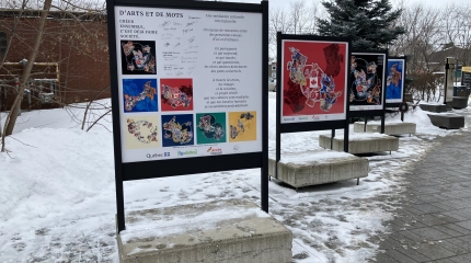 20260226 Projet Médiation Sophie