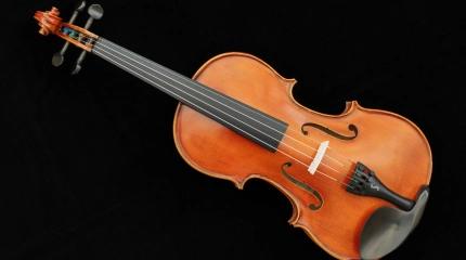 202609 violon
