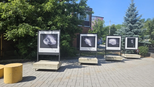 Exposition Catherine Magnan