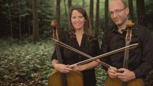 Deux violoncelles