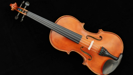202609 violon
