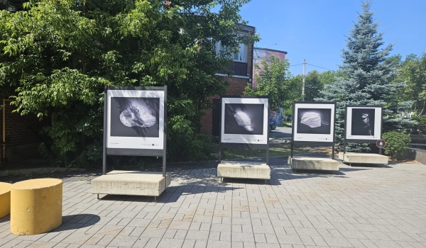 Exposition Catherine Magnan