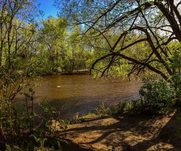Rivière