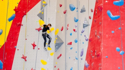 Escalade Web 41