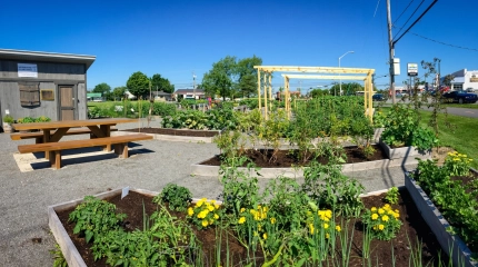 Jardin des rendez vous