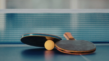 Pingpongassomption