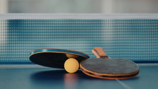 Pingpongassomption