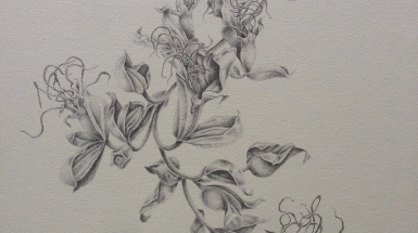 Catherinemagnan contemplation III