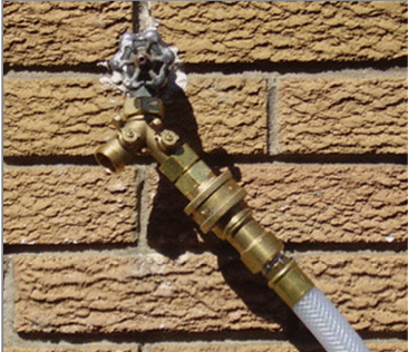 Image4