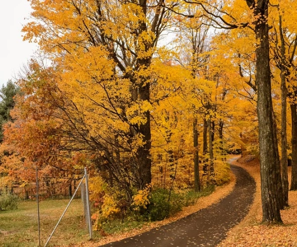 Automne
