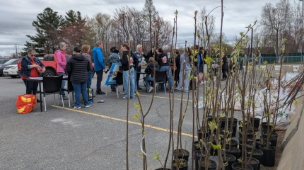 Journée Normand Maurice