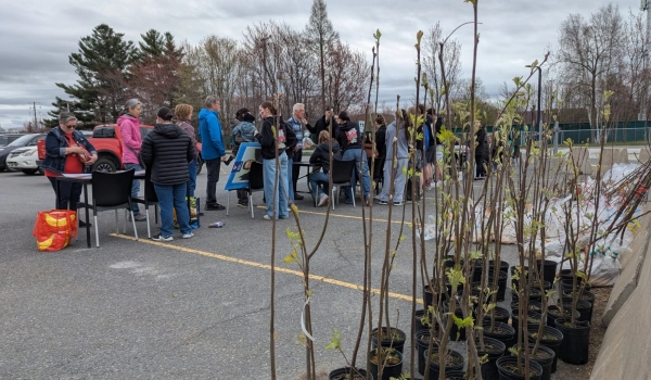 Journée Normand Maurice