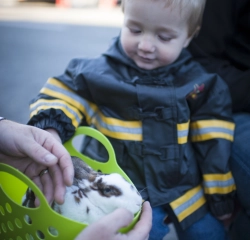 Bibeau garçon lapin