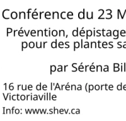 694017116afb SHEV Panneau lumineux 576 X 192 Mars 2026