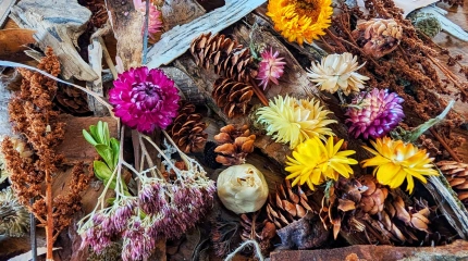 Fleurs d Ici et d Ailleurs