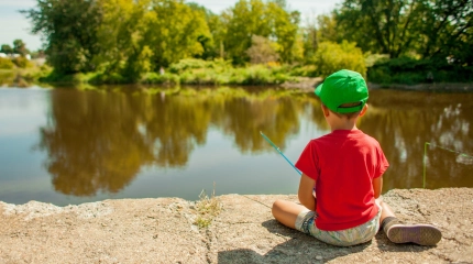 11516333754 6a9e955d40 k