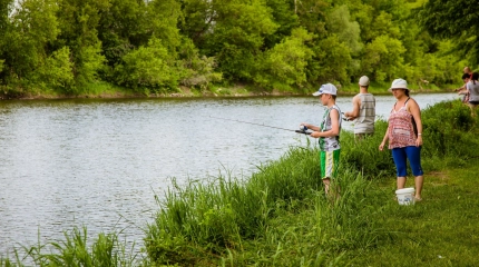 17902317119 68f778732e k