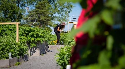 27630117364 9b9b77dc75 k