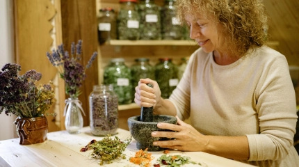 Herbes médicinales automne 2026