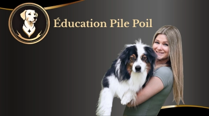 Éducation Pile Poil