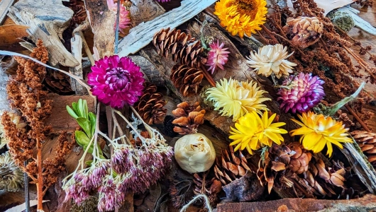 Fleurs d Ici et d Ailleurs