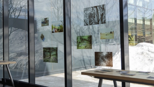 7e7986a534a3 10 073 A9031