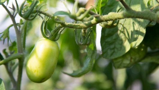 47007227131 00db71e134 k