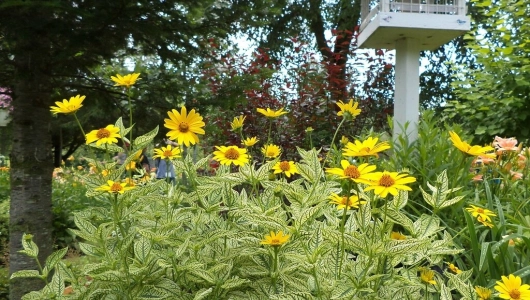 24533988579 4bc5011382 b