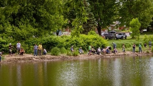 Festival de la truite