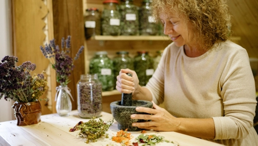 Herbes médicinales automne 2026