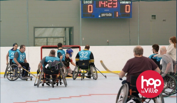 Dek Hockey fauteuil roulant