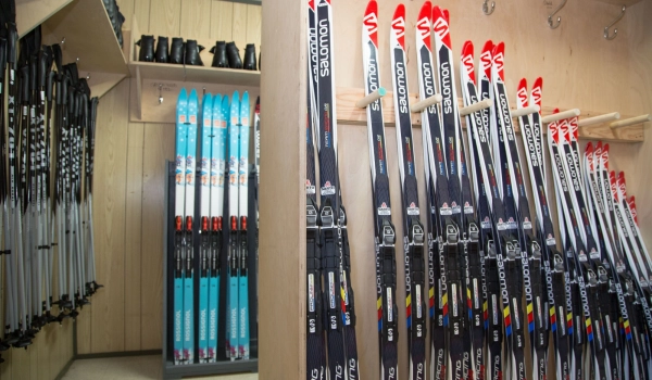 49461411482 7d848b332a o 1