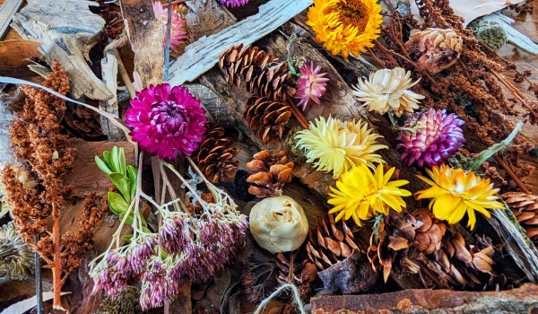 Fleurs d Ici et d Ailleurs