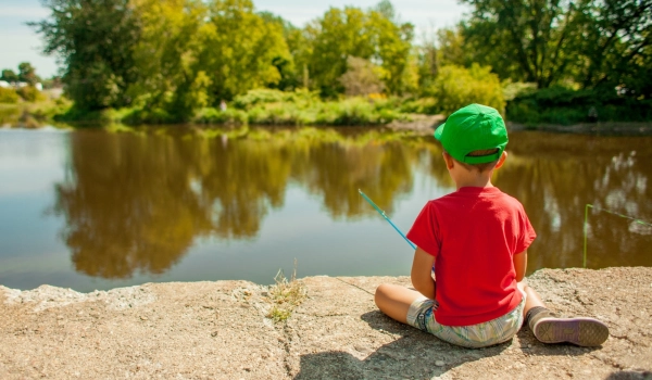 11516333754 6a9e955d40 k