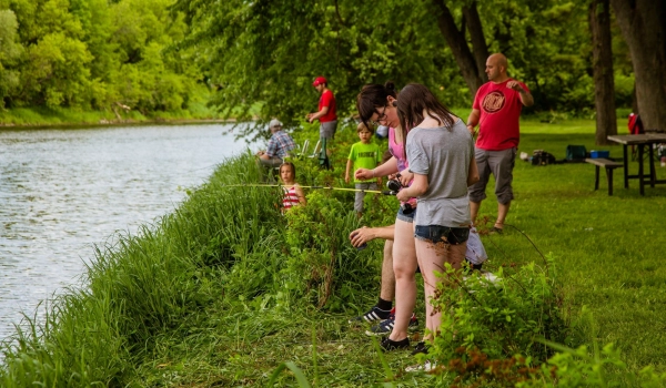 18062035866 b8cff738df k