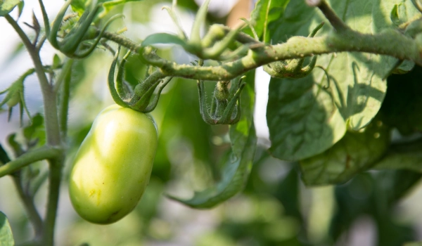 47007227131 00db71e134 k