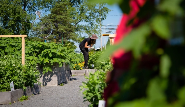 27630117364 9b9b77dc75 k