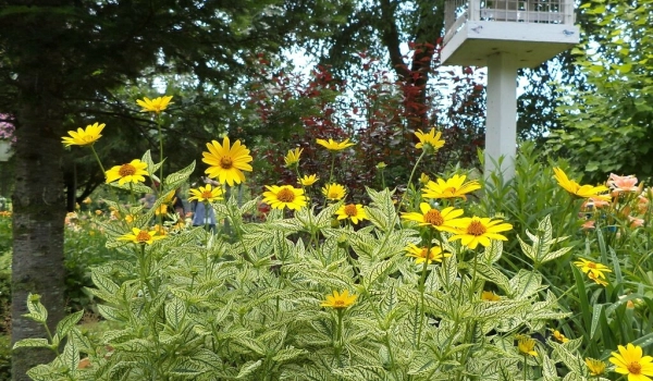 24533988579 4bc5011382 b