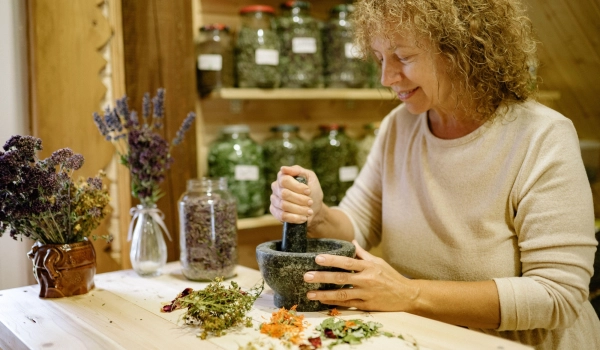 Herbes médicinales automne 2026